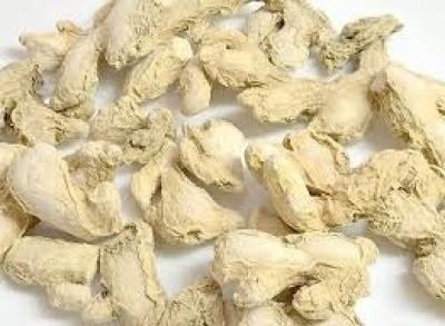 زنجبیل حداد